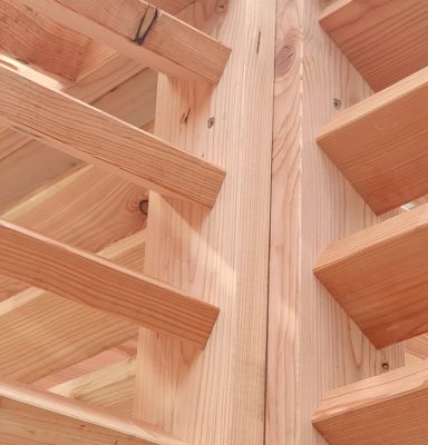 Pergolas ajourée bois en mélèze, Neuchâtel